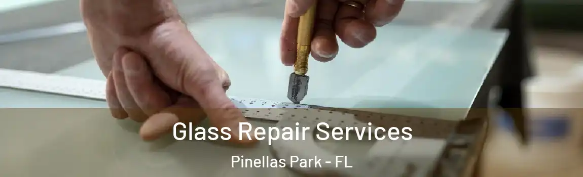 Glass Repair Services Pinellas Park - FL